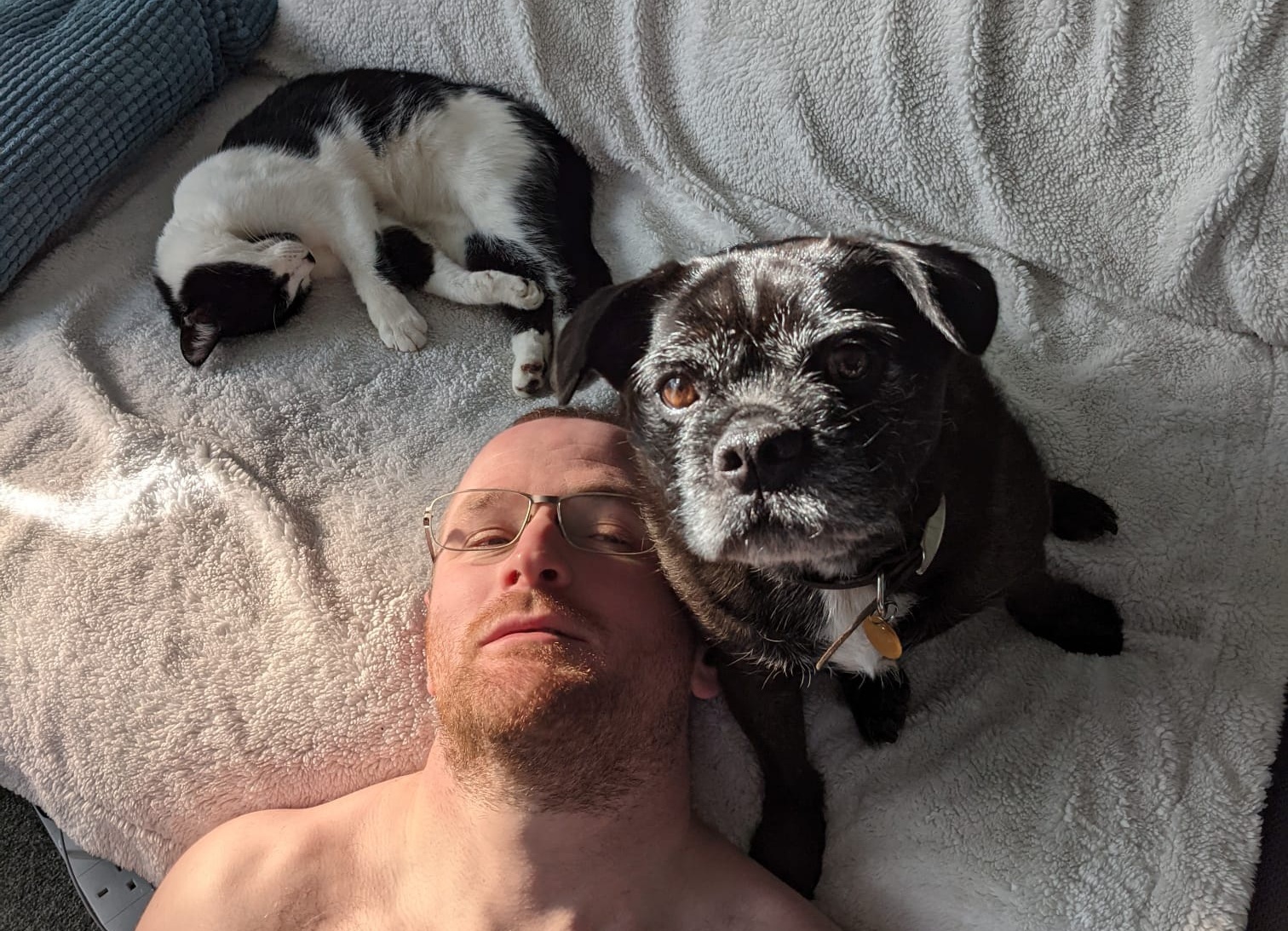 Tom's picture